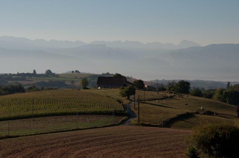Gite La Grange Du Haut Saint-Antoine  Εξωτερικό φωτογραφία